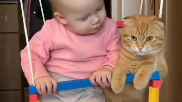 Baby kissing cat