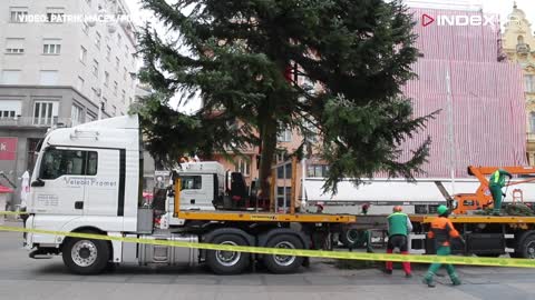 Radnici Zrinjevca postavljaju 20-metarski bor na Trg bana Jelačića