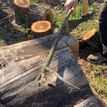 Feather Sticking with a Tomahawk