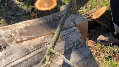 Feather Sticking with a Tomahawk