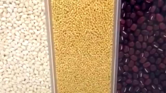 Wall-Mounted Rice Storage Tank | Kitchen Storage Box for Cereals Grain Automatic Dispenser #SHORTS