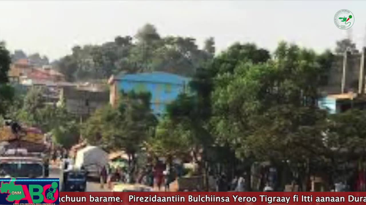 Oduu Ganama ONM-ABO Hagayya 11-2024 itti dhiyaadhaa!