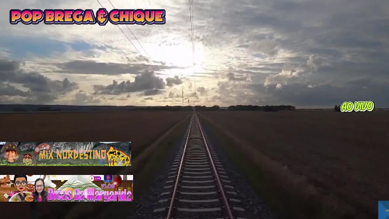 + DE 2HS DE MUSICAL NO TREM ESPECIAL BREGA E CHIQUE