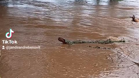 Correnteza no rio taquari