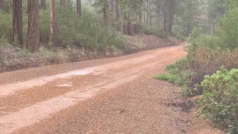 Hailed on us while our on the ATV RZR