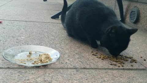 20240215 150913 Tux Crunching