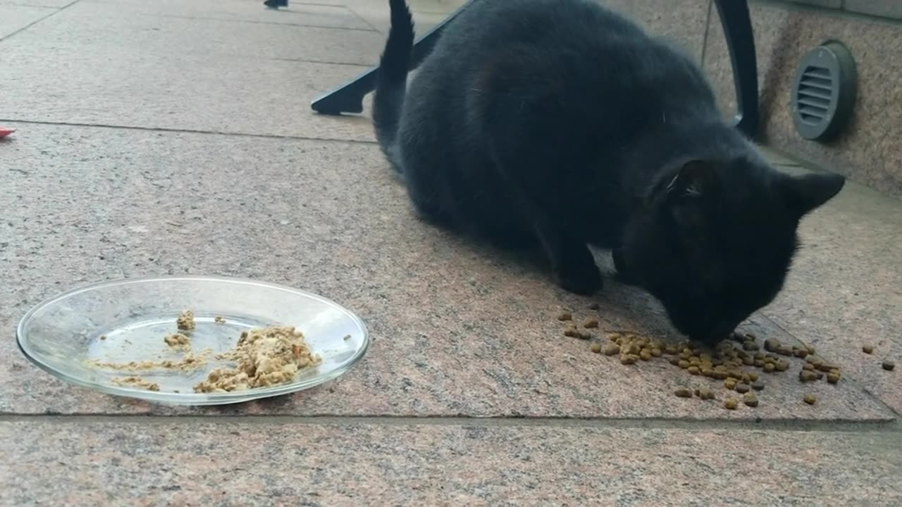 20240215 150913 Tux Crunching