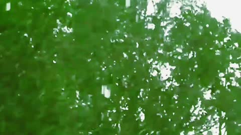 Beautiful natural rain