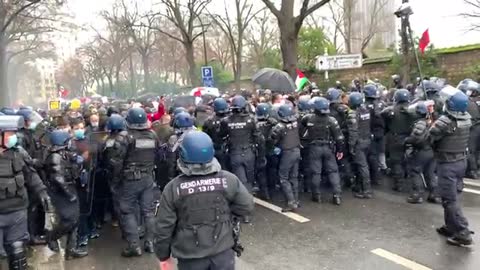 Scuffles and clashes mark Yellow Vests protest in Paris - WATCH