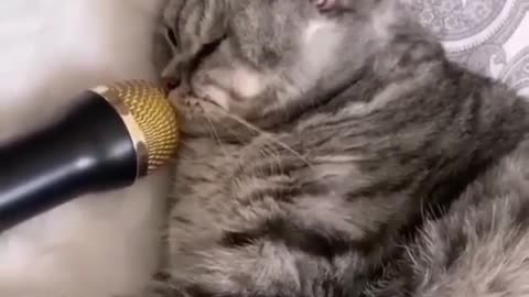 ZZzzzzz zz