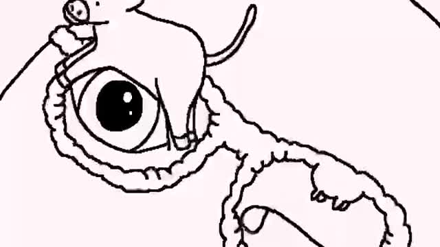 Cattle and tweezers