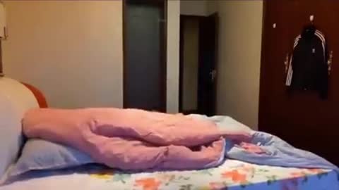 মজাৱ ভিটো টা দেখেন ভাইয়