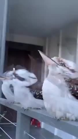 OUR HELPER IN PRAYER - DAILY DEVOTIONAL ❤️