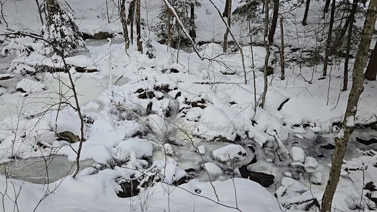 Frozen creek