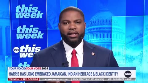 Representative Byron Donalds SMACKES DOWN George Stephanopoulos