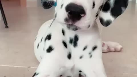 These head tilts