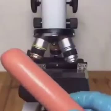 Is there Morgellons in Hotdogs?