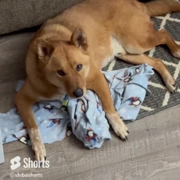 What Kind of Life Are You Living ?