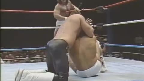 the dream team-Brutus beefcake & Greg valentine vs. can am connection