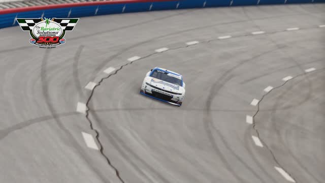 Nascar Heat5 Race411