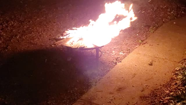 Back yard fire