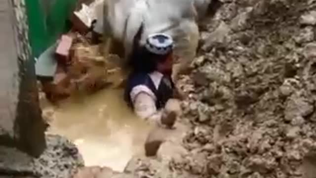 Cow drop down in the road side but a man help to up.