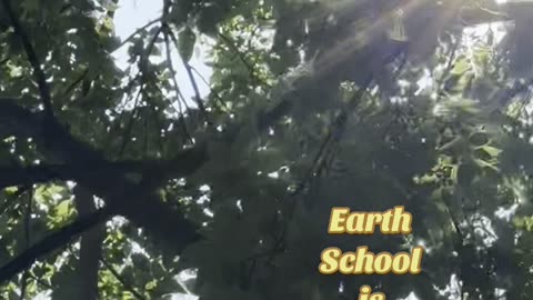 Earth School! 💕