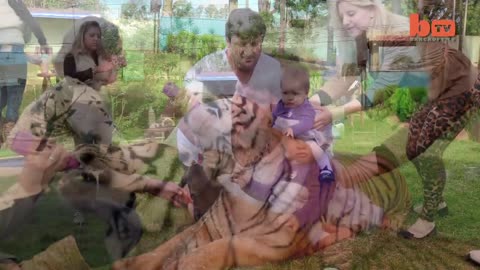 Living With Tigers: Family Share Home With Wonderful Pet Tigers