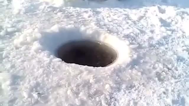 i watched and i am cold
