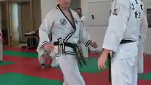 Jin Jung Kwan Hapkido