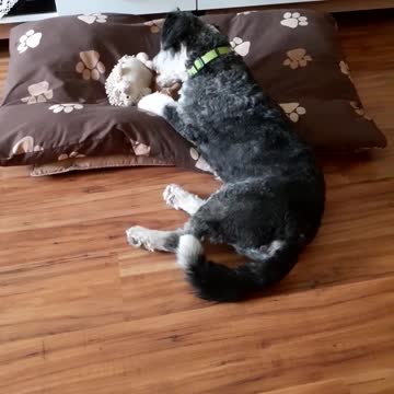 На улице жарко, дома скучно. Тяпа