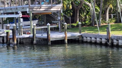My Florida Travels 37