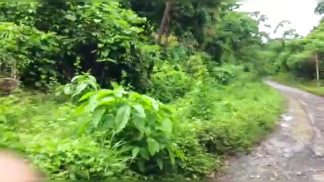 Horrible !! Walking alone in Havelock island - Port Blair..