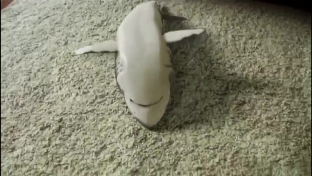 Roll around. It's so comfortable