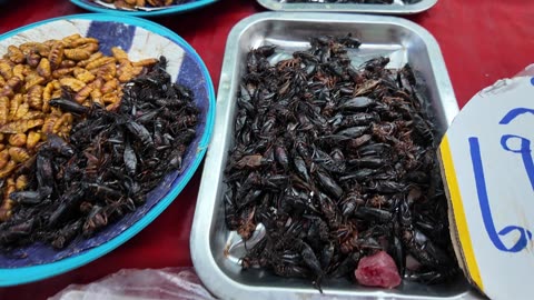 THAILAND, Nong Khai, Phon Pisai Food Market. Frogs and Bugs....