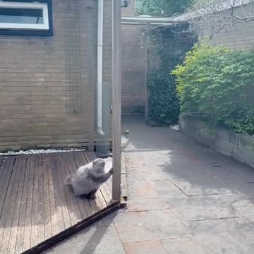 Someone is not ready for summertime fun 😂