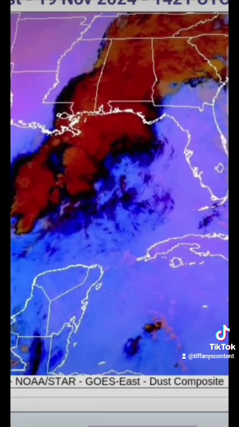 FLORIDA gets Tropical Storm Sara's leftovers...