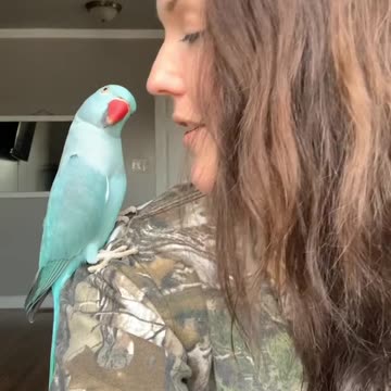 I was getting concerned because he’s never this quiet for this long… 😳