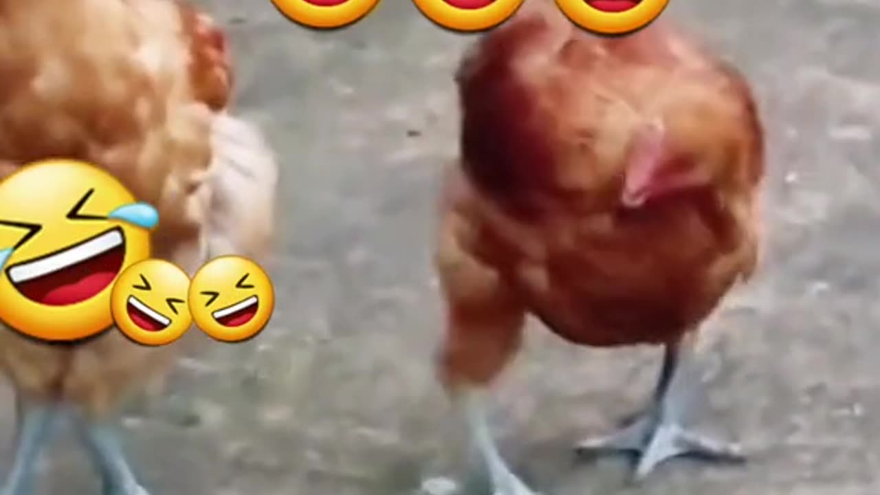 Две подруги