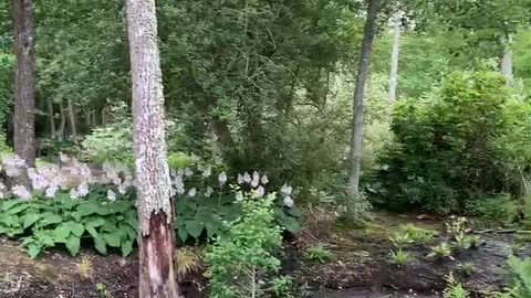 Storybook Path