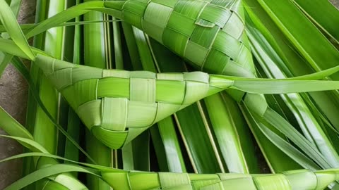 Ketupat is traditionally served by Indonesians and Malays at festive occasions like Idul Fitri