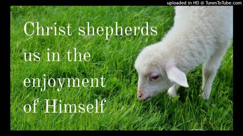 the Lord shepherds us in the enjoyment of Himself