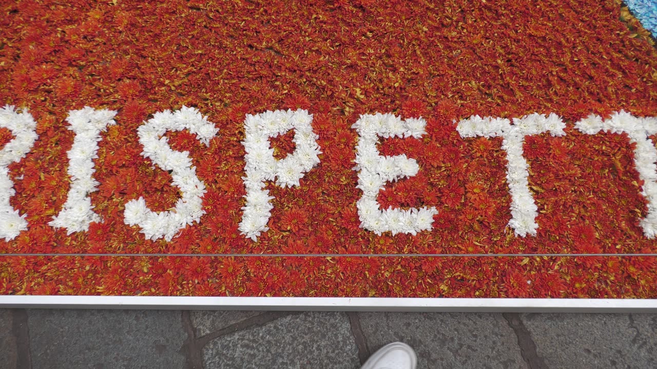 Milano, l'infiorata di via della Spiga