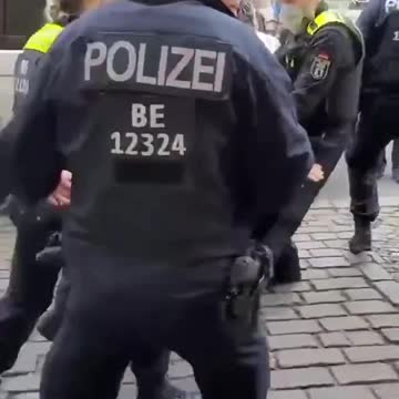 gestapo knees protester in the face for his safety
