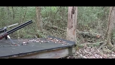 Pew Pew. Testing ROssi R64 .44 mag Lever