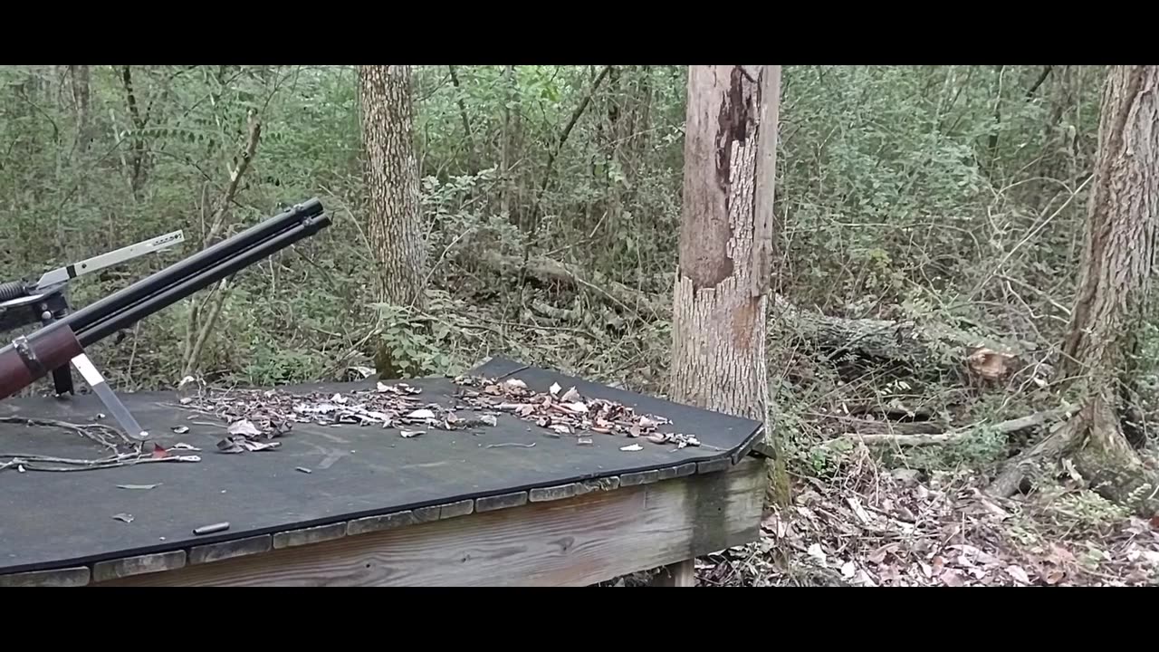 Pew Pew. Testing ROssi R64 .44 mag Lever