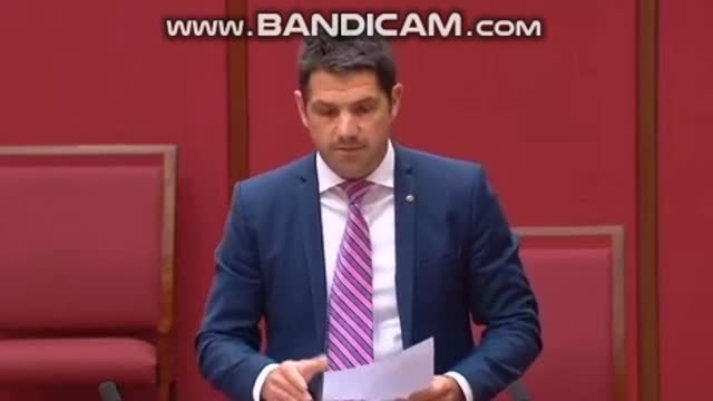 Alex Antic, Australische senator: