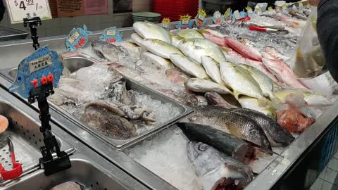 Different sea creatures in food market