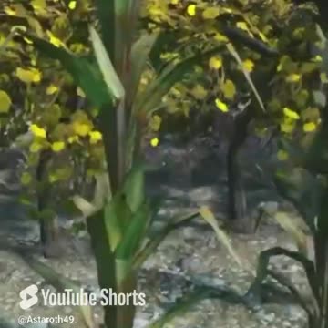 Count. Fallout (C.Q.C.) Ep. (8)? When the game is in on the joke. #fallout4 #cqc