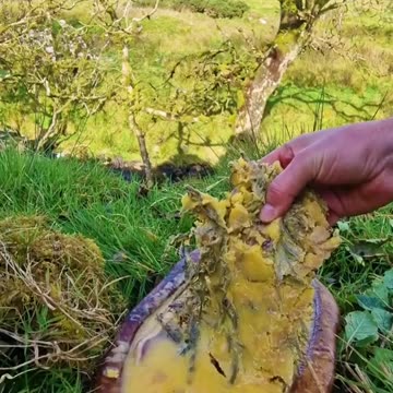 Perfect Steak🔥 and Chips